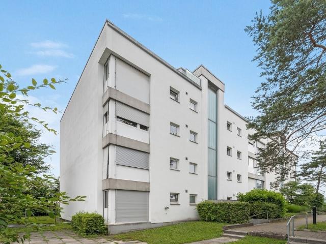 Apartment mieten in Rheinfelden, Aargau
