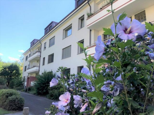 Apartment mieten in Riehen, Basel-Stadt