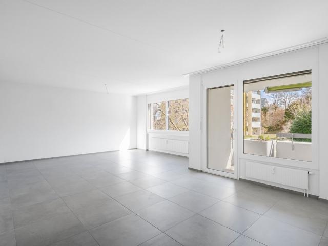 Apartment mieten in Schlieren, Zürich