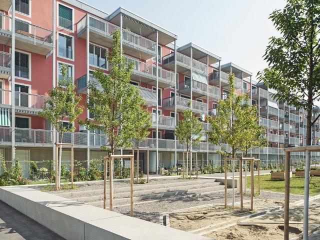 Apartment mieten in Schlieren, Bezirk Dietikon