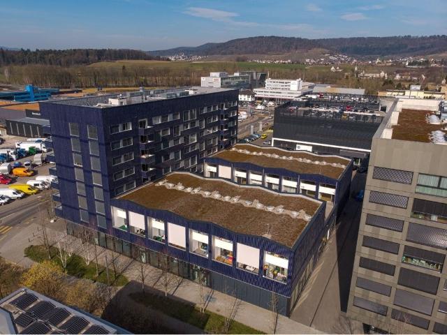 Apartment mieten in Schlieren, Zürich