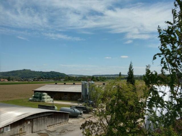Apartment mieten in Schwadernau, Verwaltungsregion Seeland