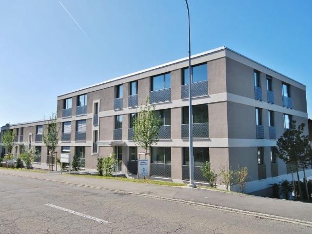 Apartment mieten in Seengen, Aargau