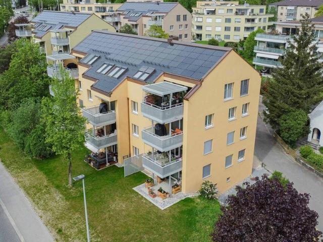 Apartment mieten in Solothurn