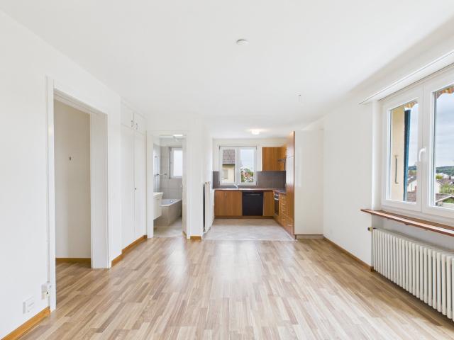 Apartment mieten in Solothurn