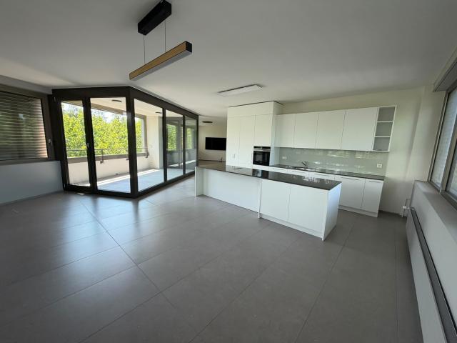 Apartment mieten in Steinhausen, Zug