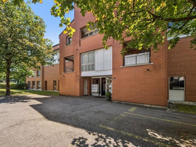 Apartment mieten in Steinhausen, Zug