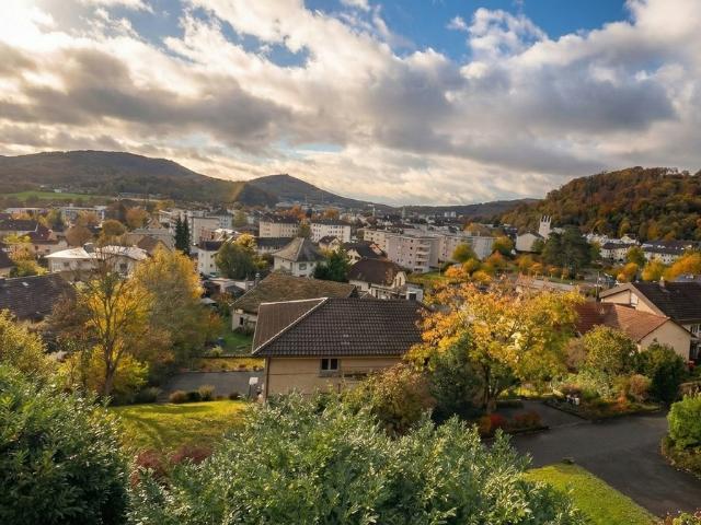Apartment mieten in Trimbach, Solothurn