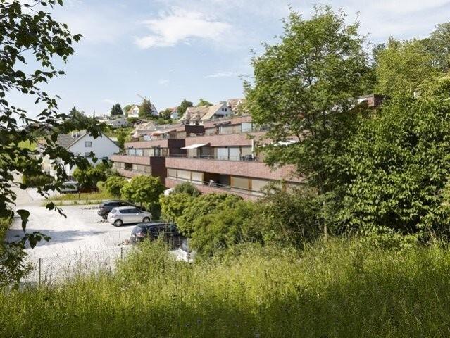 Apartment mieten in Wettswil, Zürich