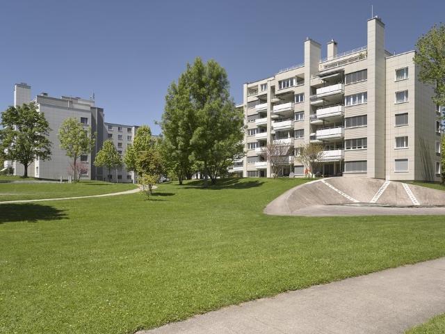 Apartment mieten in Widen, Bezirk Bremgarten