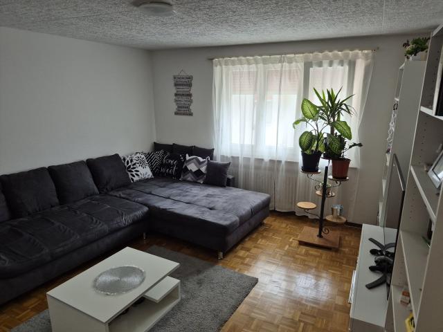 Apartment mieten in Wohlen (AG), Aargau