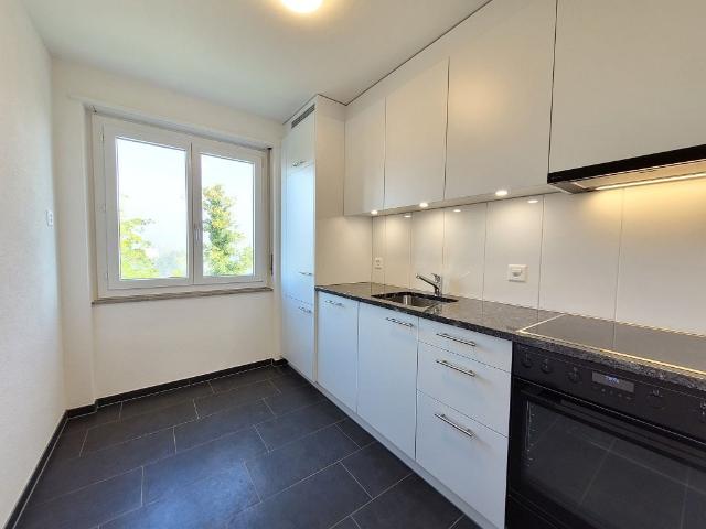 Apartment mieten in Zuchwil, Solothurn