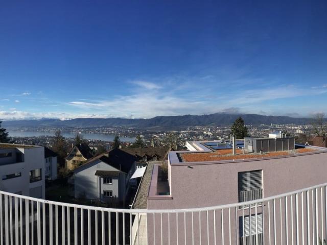 Apartment mieten in Einigen, Zürich