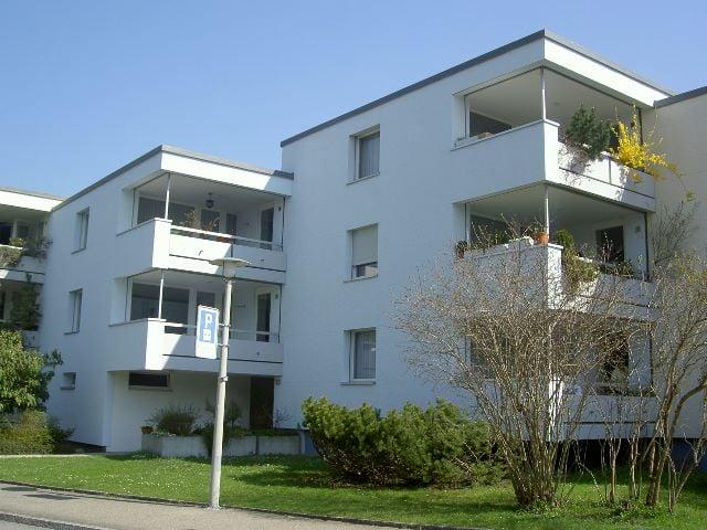Apartment mieten in Einigen, Zürich