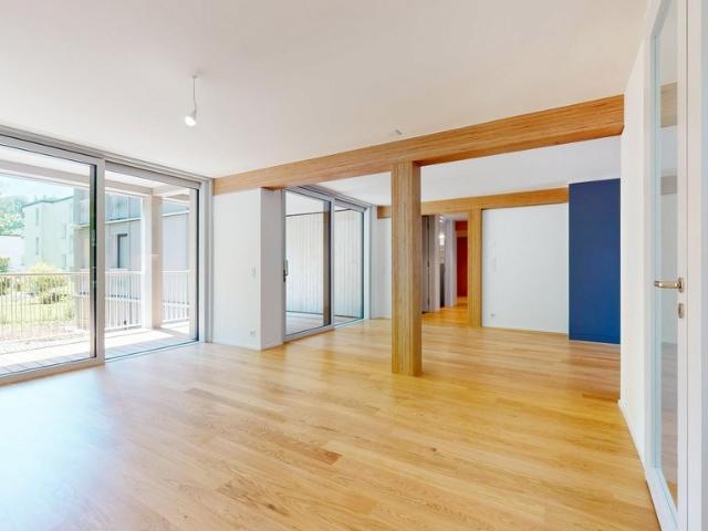 Apartment mieten in Einigen, Zürich