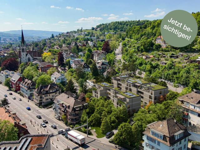 Apartment mieten in Einigen, Zürich