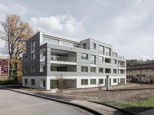 Apartment mieten in Einigen, Zürich