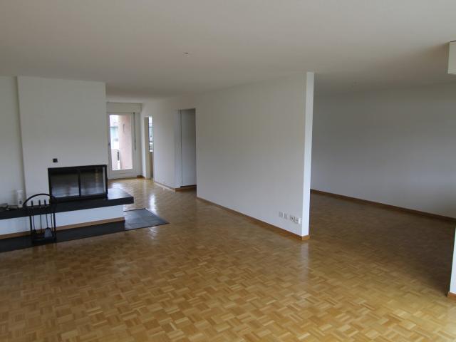 Apartment mieten in Einigen, Zürich
