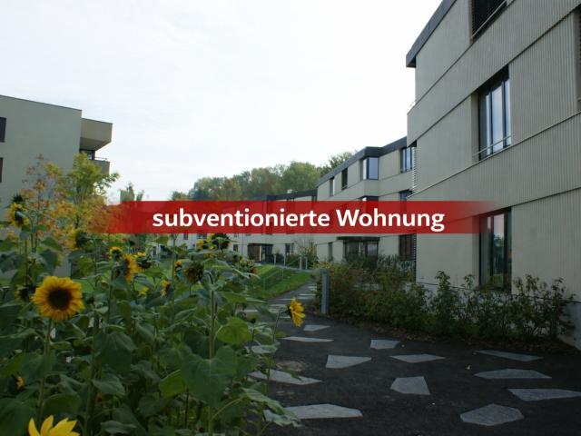 Apartment mieten in Einigen, Zürich