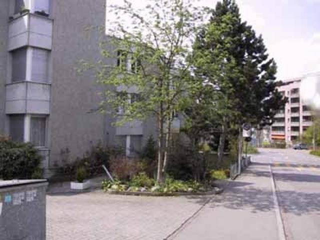 Apartment mieten in Einigen, Zürich
