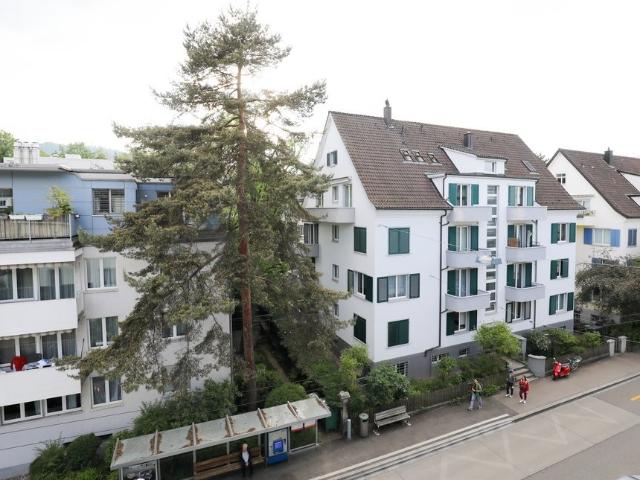 Apartment mieten in Einigen, Zürich