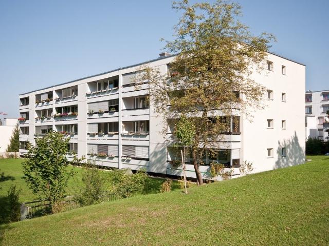 Apartment mieten in Einigen, Zürich
