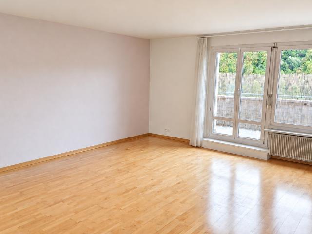 Apartment mieten in Einigen, Zürich