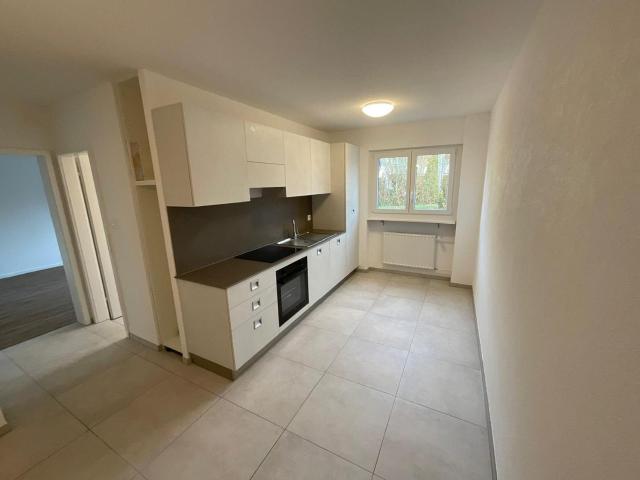 Apartment mieten in Zwingen, Basel-Landschaft