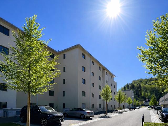 Apartment mieten in Zwingen, Basel-Landschaft