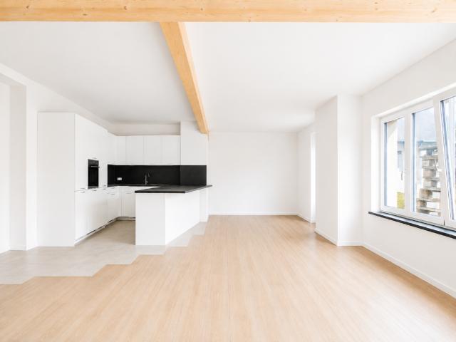 Apartment mieten in Seewen, Solothurn