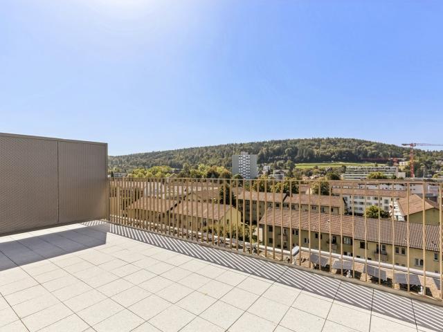 Apartment mieten in Einigen, Zürich
