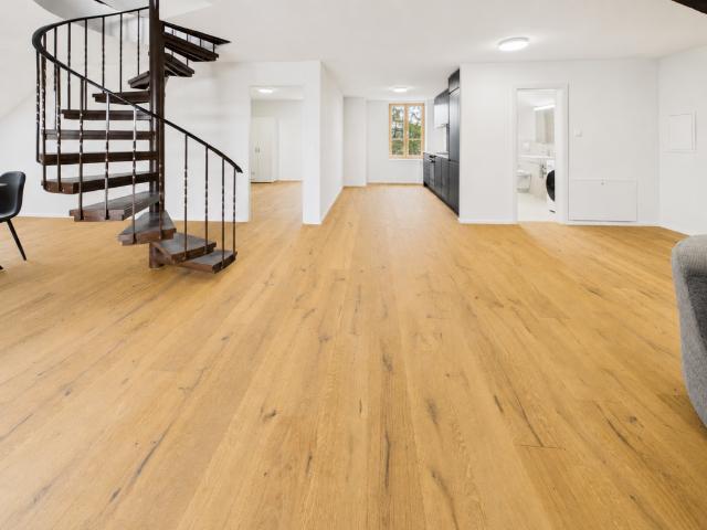 Apartment mieten in Hofstetten-Flüh, Solothurn