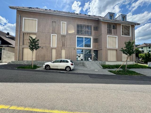 Apartment mieten in Menziken, Aargau