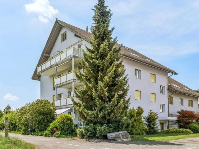 Apartment mieten in Niederbuchsiten, Solothurn