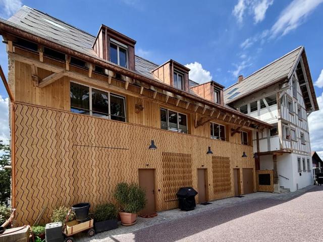 Apartment mieten in Oetwil, Zürich