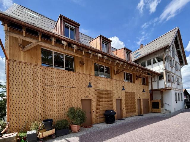 Apartment mieten in Oetwil, Zürich