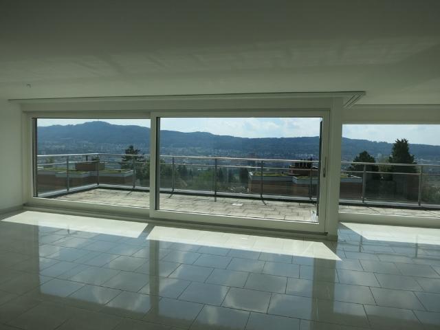 Apartment mieten in Einigen, Zürich