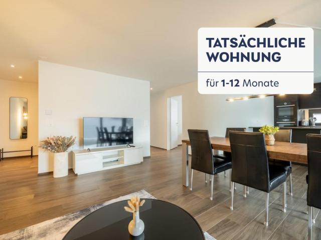 Apartment mieten in Menziken, Aargau