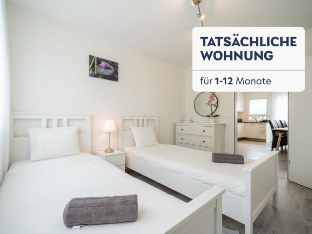Apartment mieten in Safenwil, Aargau