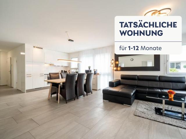 Apartment mieten in Safenwil, Aargau