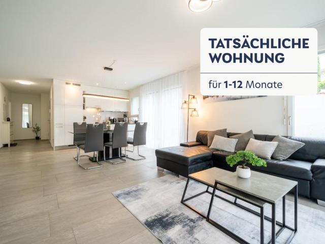 Apartment mieten in Safenwil, Aargau