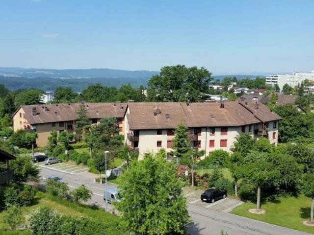 Apartment mieten in Berikon, Aargau