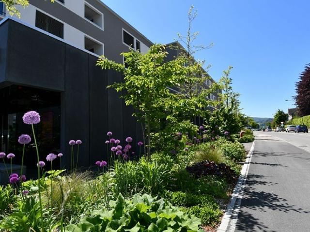 Apartment mieten in Eschlikon (TG), Thurgau