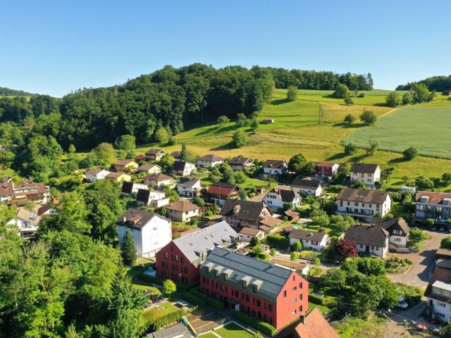 Apartment mieten in Gebenstorf, Aargau