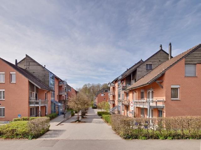 Apartment mieten in Hünenberg, Zug