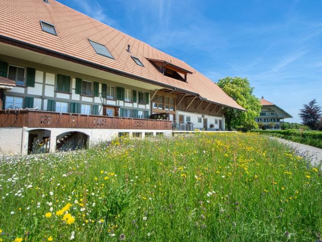 Apartment mieten in Iffwil, Bern