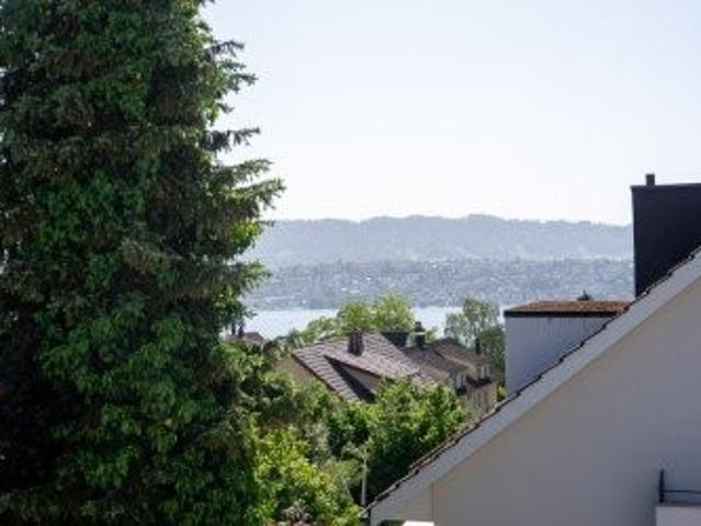 Apartment mieten in Küsnacht (ZH), Zürich