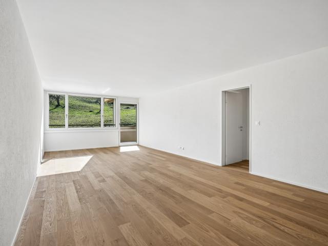 Apartment mieten in Adliswil, Zürich