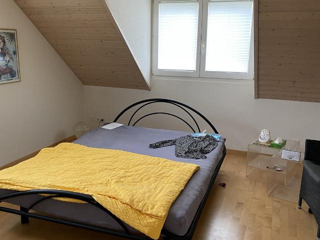 Apartment mieten in Buchs (ZH), Bezirk Dielsdorf