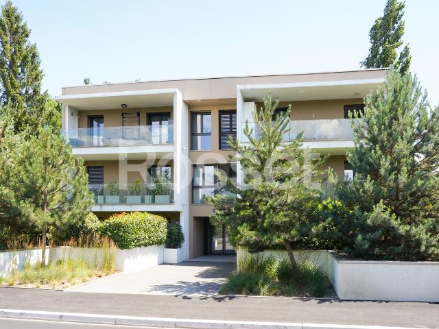 Apartment mieten in Chêne-Bougeries